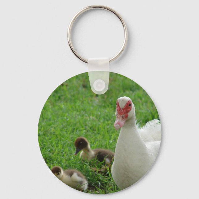 Muscovy Hen And Ducklings Key Ring (Front)
