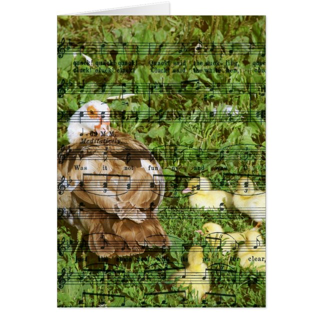 Muscovy Hen and Ducklings With Duckling Song (Front)