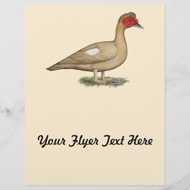 Muscovy Light Chocolate Drake Flyer (Front)