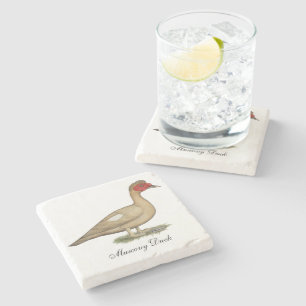 Muscovy Light Chocolate Drake Stone Coaster