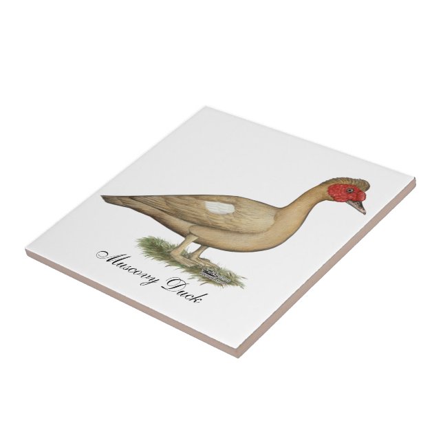 Muscovy Light Chocolate Drake Tile (Side)