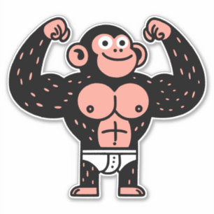 Muscular