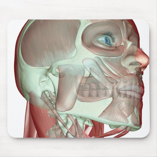 Musculoskeleton of the Head and Neck 3 Mouse Pad (Front)