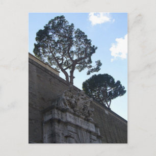 musei vatacani postcard