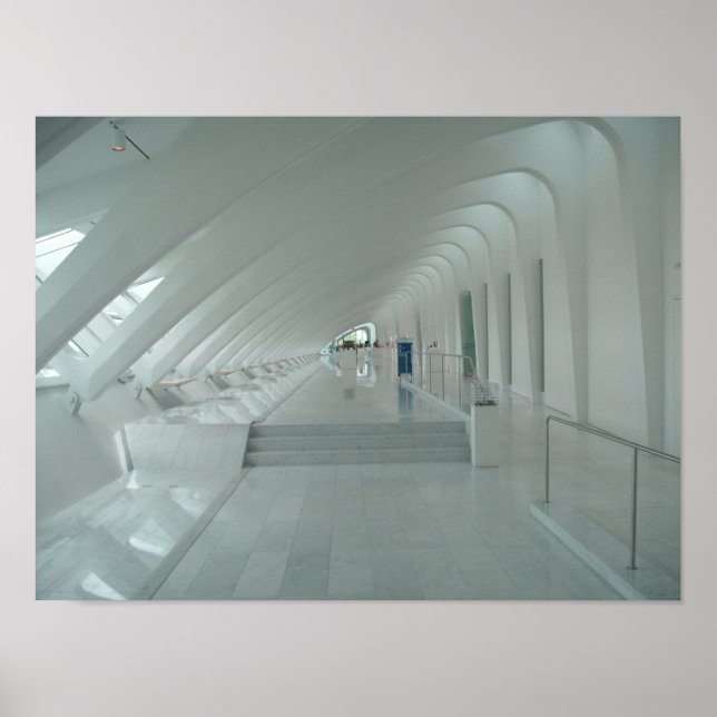 Museum Corridor Poster (Front)