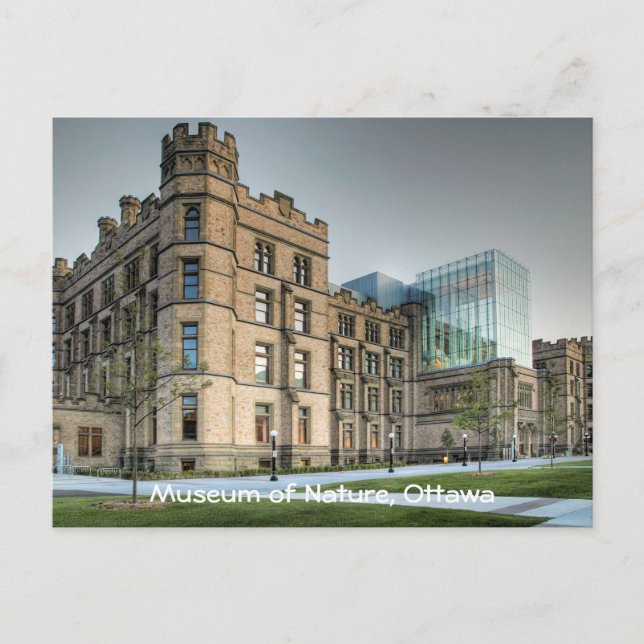 Museum of Nature, Ottawa. Postcard (Front)