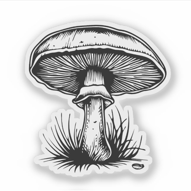 Mushroom  (Front)