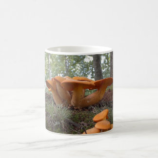 Mushroom 13 Mug