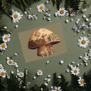 Mushroom book  vintage paper decouapge