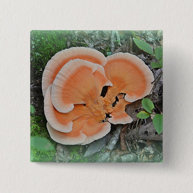 Mushroom Button (Front)