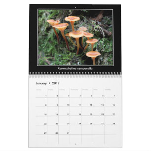 Mushroom Calendar
