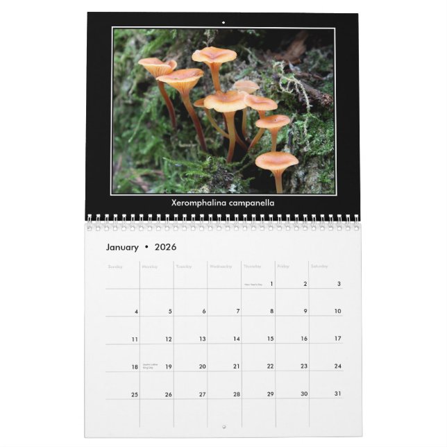 Mushroom Calendar (Jan 2026)