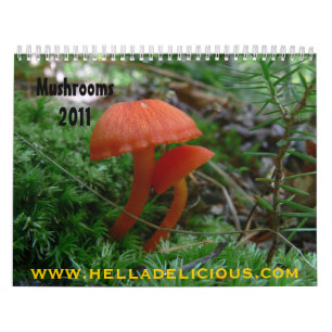 Mushroom Calendar 2011