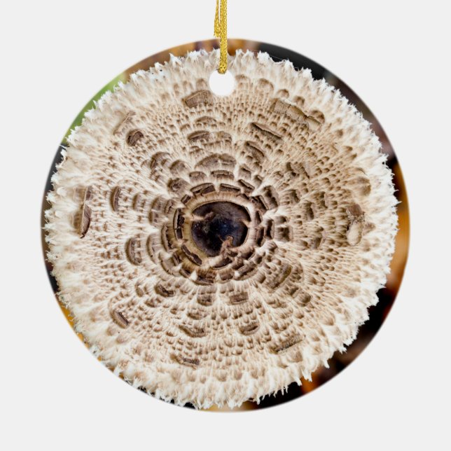 Mushroom Ceramic Ornament (Back)