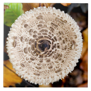 Mushroom Ceramic Tile