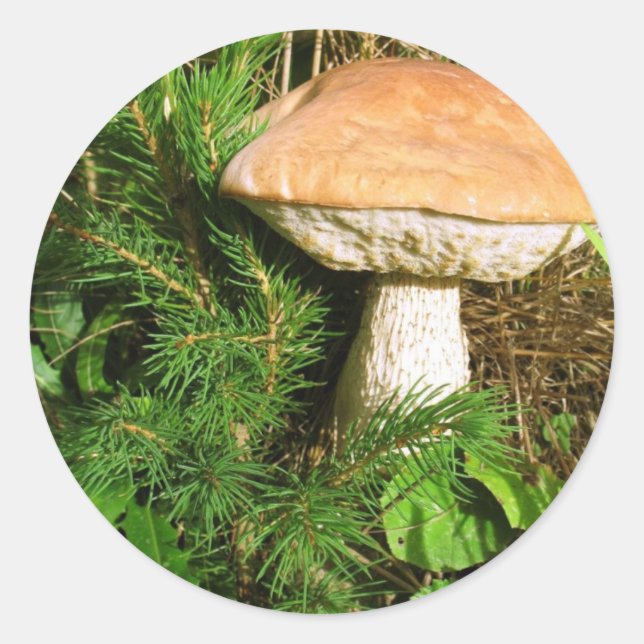 Mushroom Classic Round Sticker (Front)