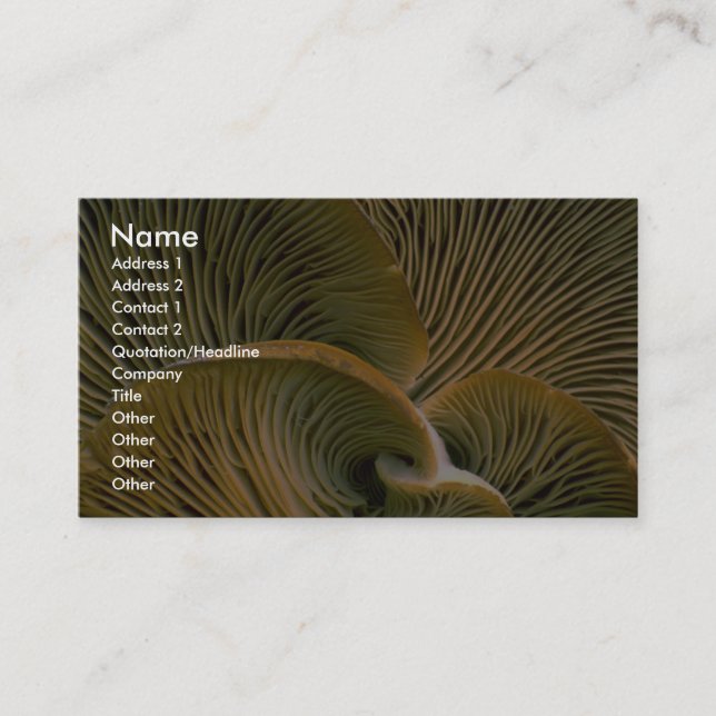 Mushroom cluster on a dead tree business card (Front)