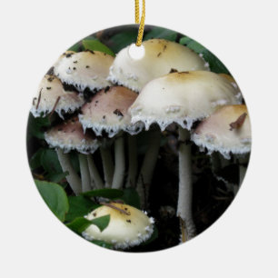 Mushroom Cluster - Photograph Ceramic Tree Decoration