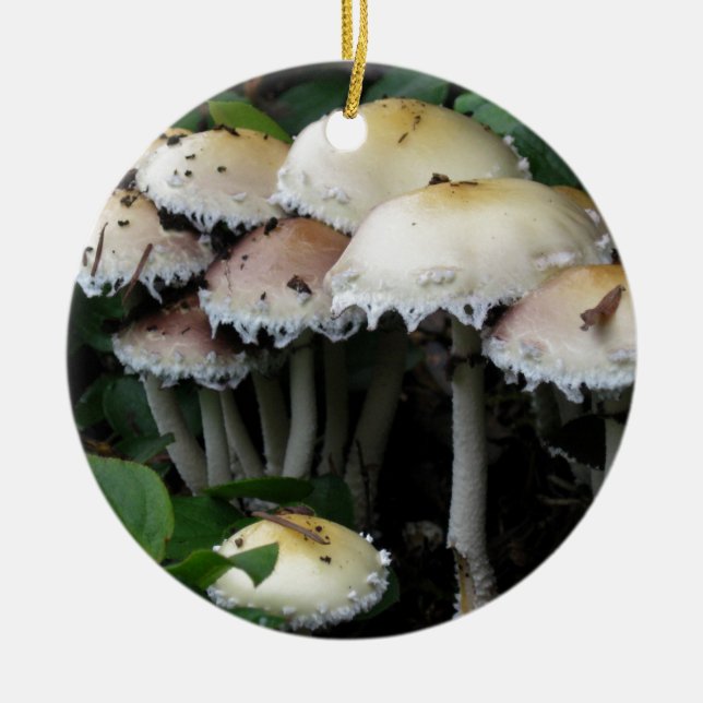 Mushroom Cluster - Photograph Ceramic Tree Decoration (Front)