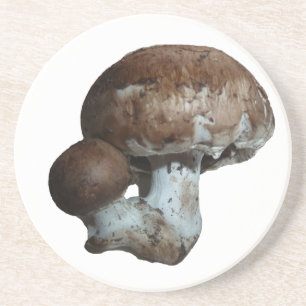 Mushroom Coasters