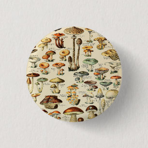 Mushroom Collection  3 Cm Round Badge