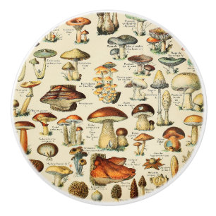 Mushroom Collection Ceramic Knob