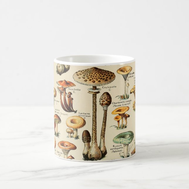 Mushroom Collection  Coffee Mug (Center)
