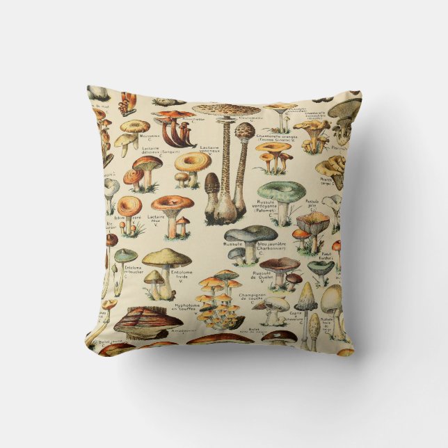 Mushroom Collection   Cushion (Front)