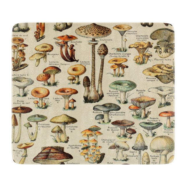Mushroom Collection    Cutting Board (Front)