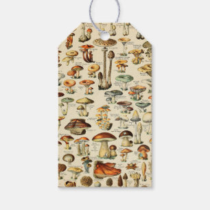 Mushroom Collection Gift Tags