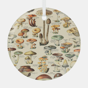 Mushroom Collection     Glass Tree Decoration