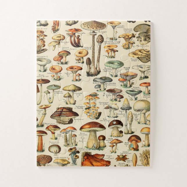 Mushroom Collection Jigsaw Puzzle (Vertical)