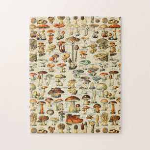 Mushroom Collection Jigsaw Puzzle