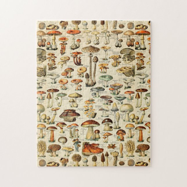 Mushroom Collection   Jigsaw Puzzle (Vertical)
