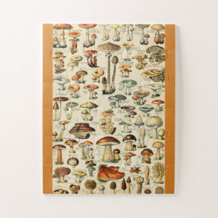 Mushroom Collection Jigsaw Puzzle