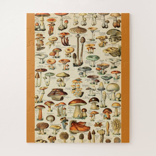 Mushroom Collection Jigsaw Puzzle (Vertical)