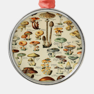 Mushroom Collection Metal Ornament