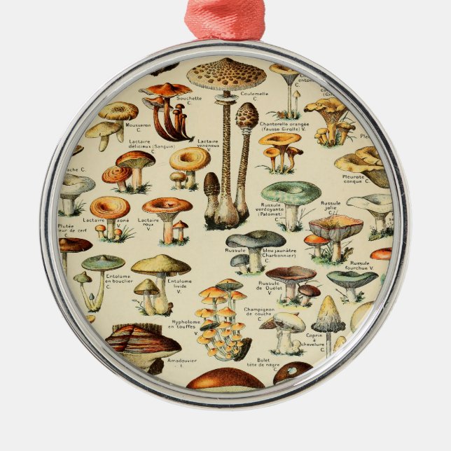 Mushroom Collection    Metal Ornament (Front)