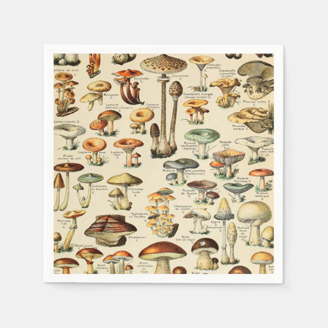 Mushroom Collection  Napkin (Front)