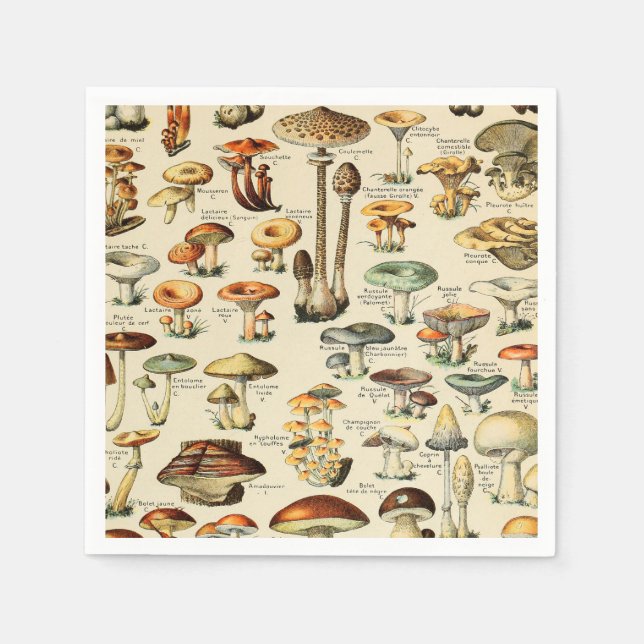 Mushroom Collection    Napkin (Front)