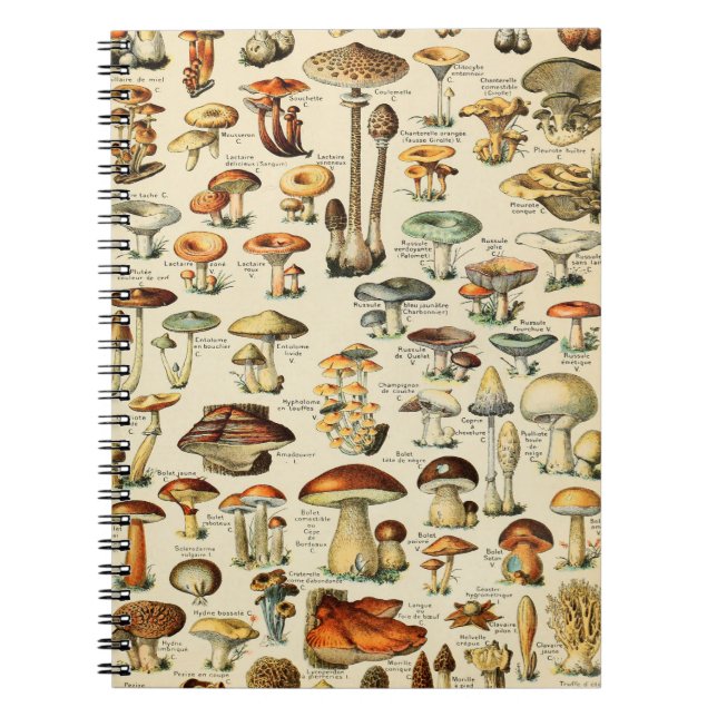 Mushroom Collection Notebook (Front)