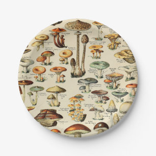 Mushroom Collection Paper Plate