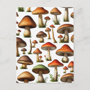 Mushroom Collection Pattern Design Postcard