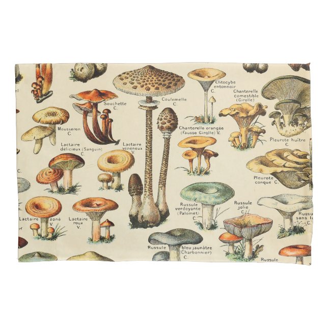 Mushroom Collection  Pillowcase (Front)