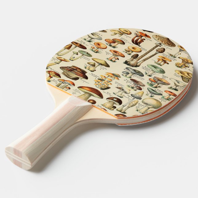 Mushroom Collection  Ping Pong Paddle (Front Angle)