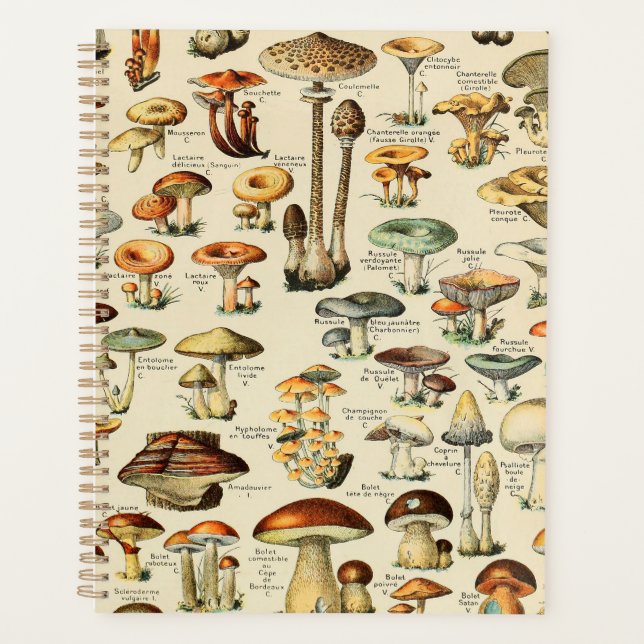 Mushroom Collection  Planner (Front)