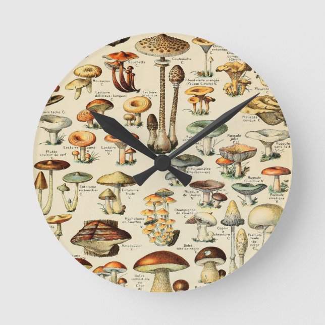 Mushroom Collection   Round Clock (Front)
