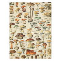 Mushroom Collection