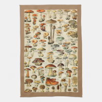 Mushroom Collection