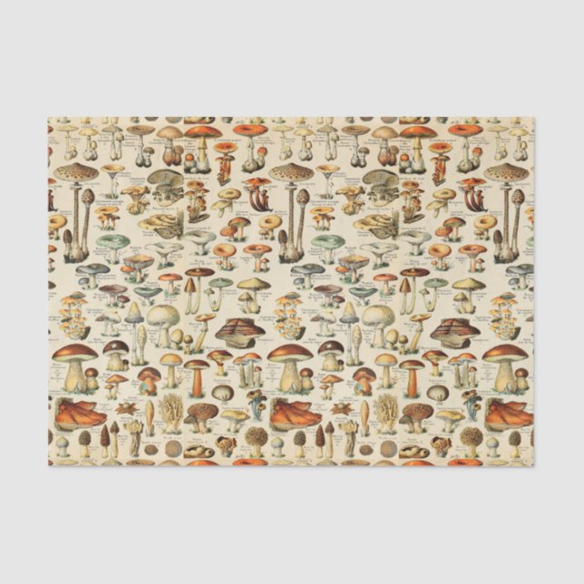 Mushroom Collection  Tissue Paper (Front)